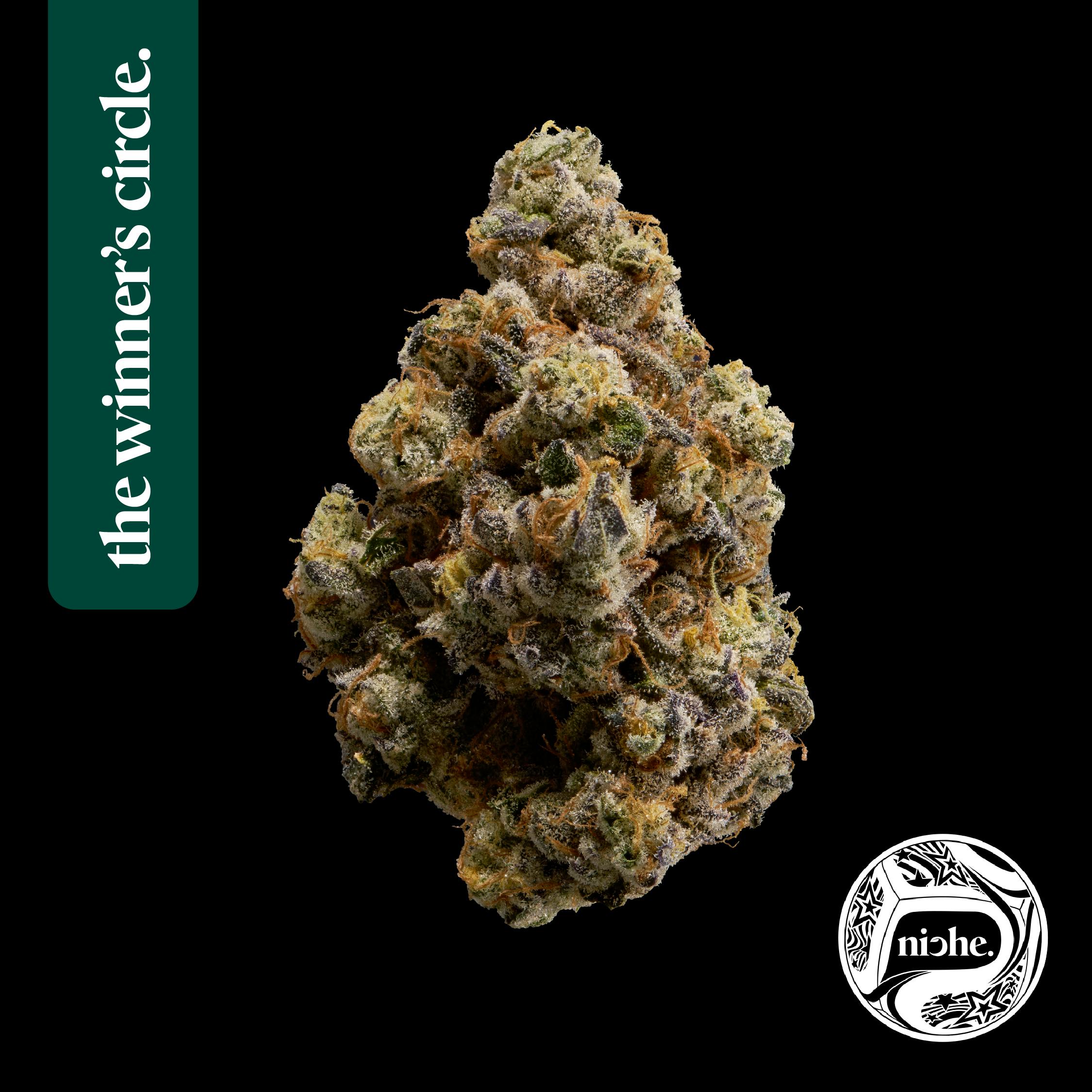 Niche - First Class Gas | 3.5g - 1