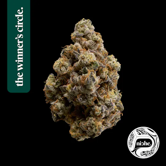 Niche - First Class Gas | 3.5g - 1