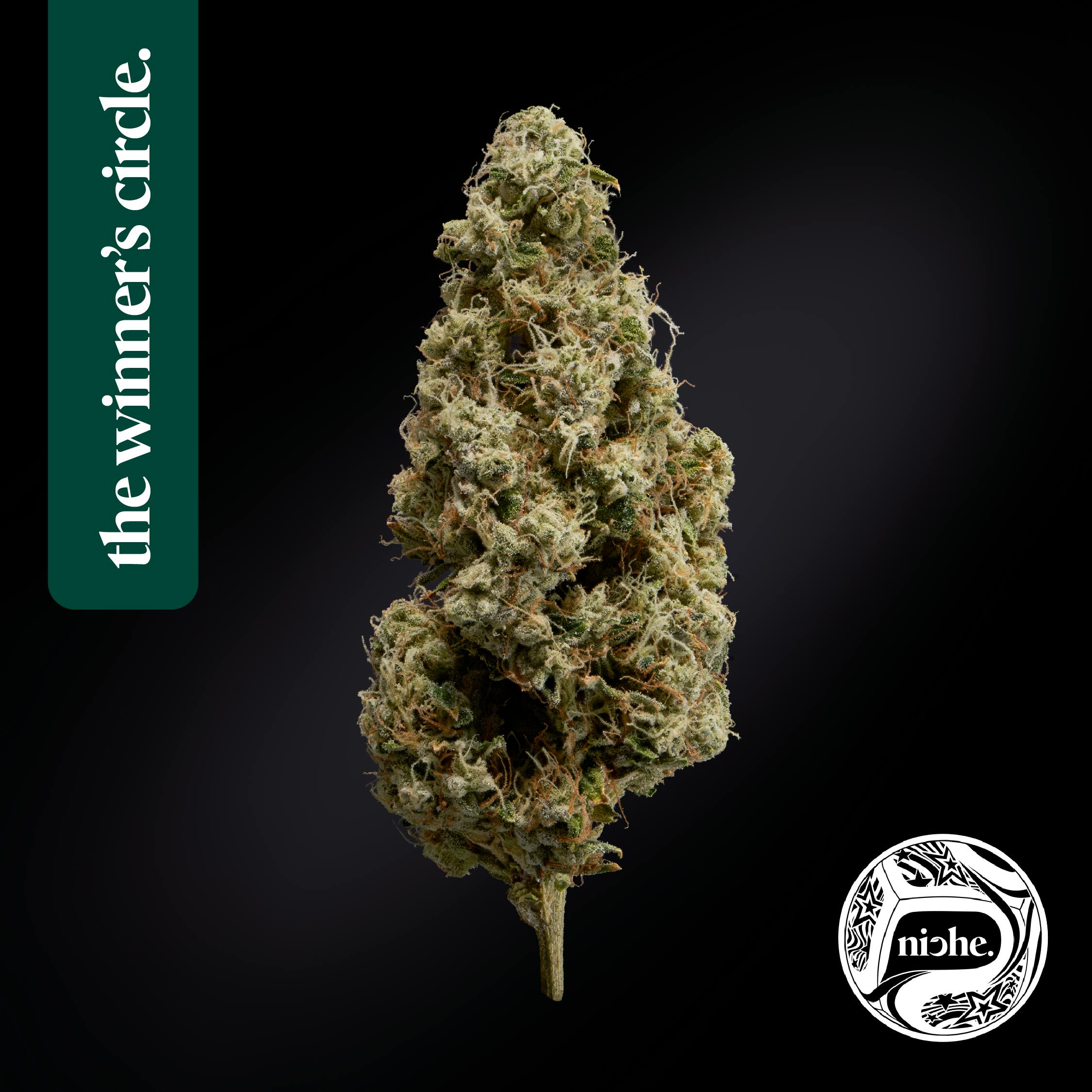 Niche - First Class Gas | 1g - 1