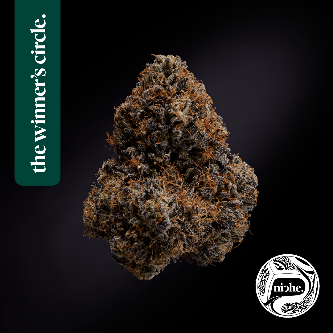 Niche - Ridgeline Lantz | 1g - 1