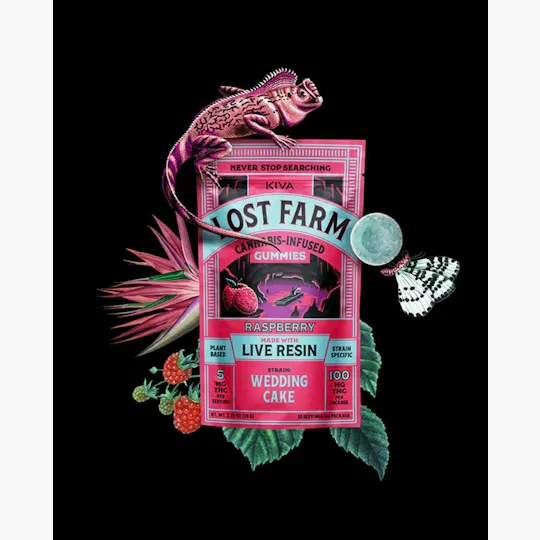 Lost Farm Gummies by Kiva - Raspberry 'Wedding Cake' Live Resin Chews | 100mg | 10ct | 10mg/ea - 1