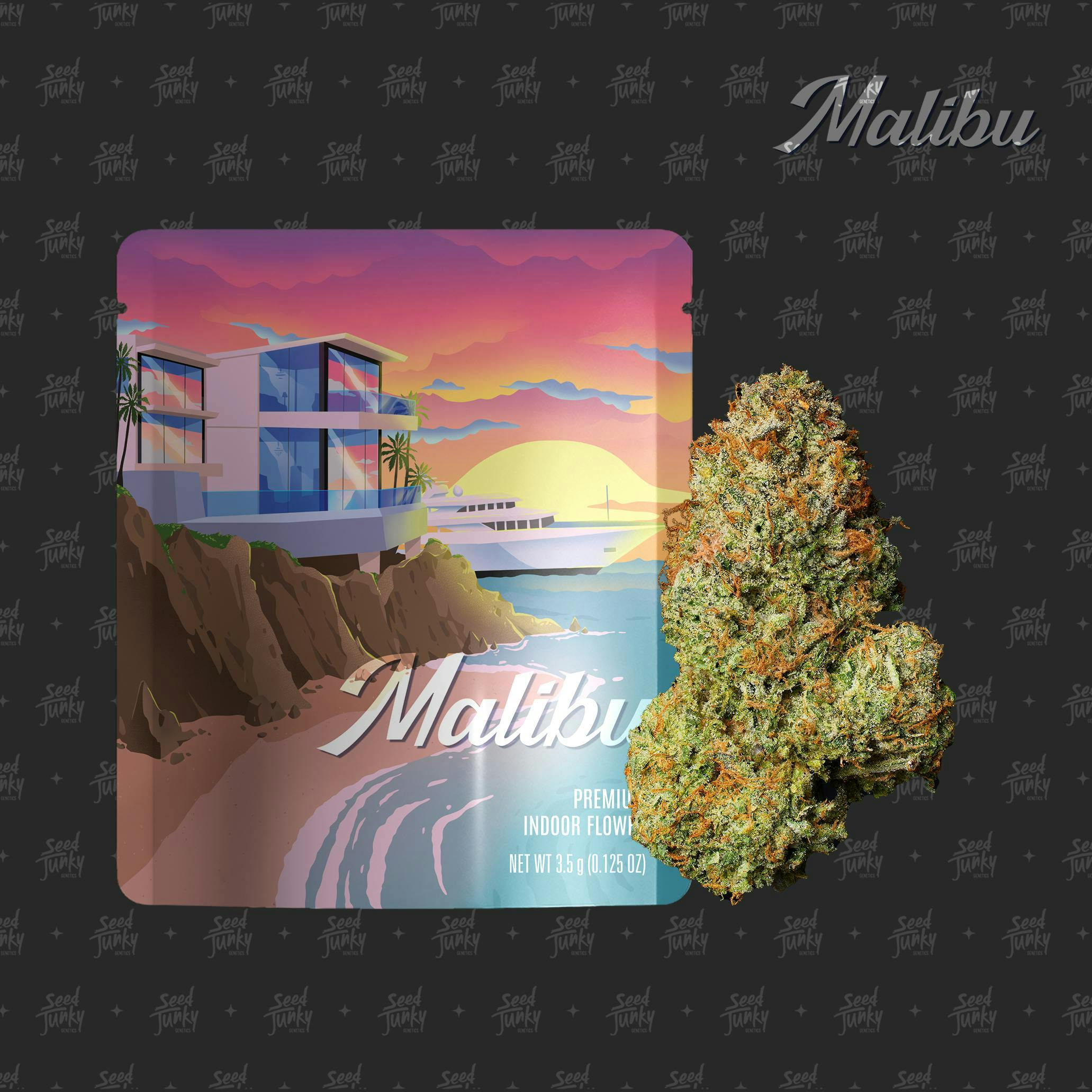 Seed Junky - Seed Junky | Malibu Jar | Big Buds | 3.5g - 1