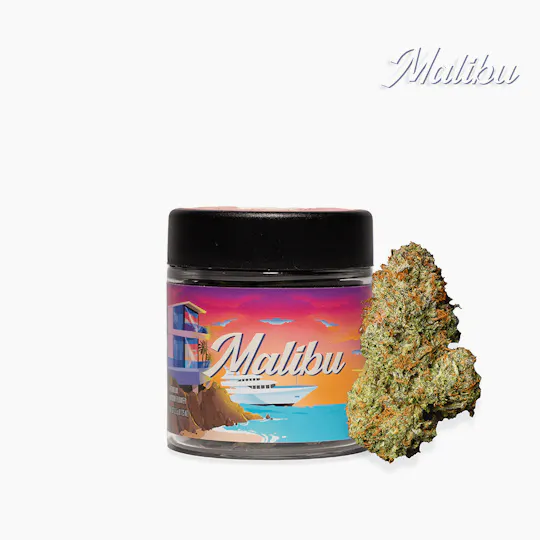 Seed Junky - Malibu Jar | Big Buds | 3.5g - 1