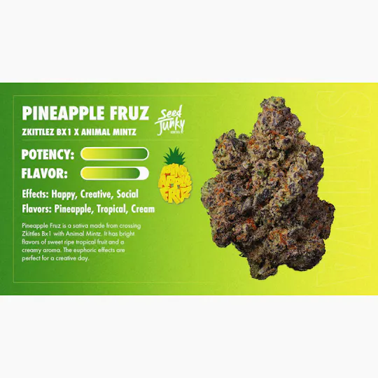 Seed Junky - Seed Junky | Pineapple Fruz Jar | Big Buds | 3.5g - 1