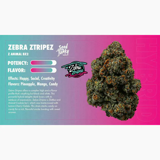 Seed Junky - Zebra Ztripez Jar | Big Buds | 3.5g - 1