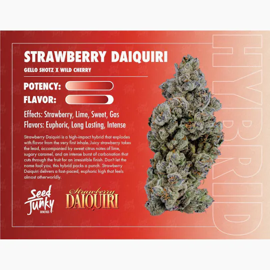 Seed Junky - Strawberry Daiquiri Jar | Big Buds | 3.5g - 1