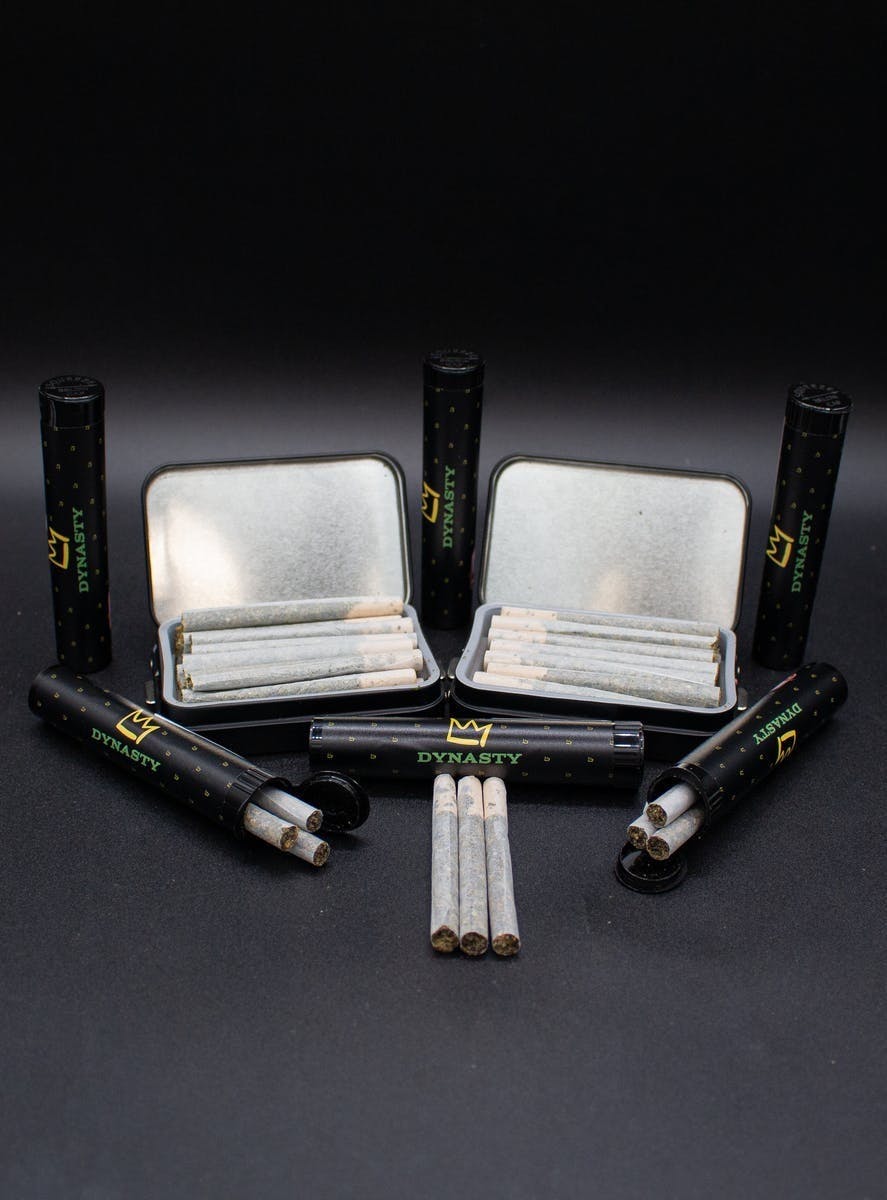 Green Dynasty - Green Dynasty | Cat Piss | Joint | 1g |10pk - 1