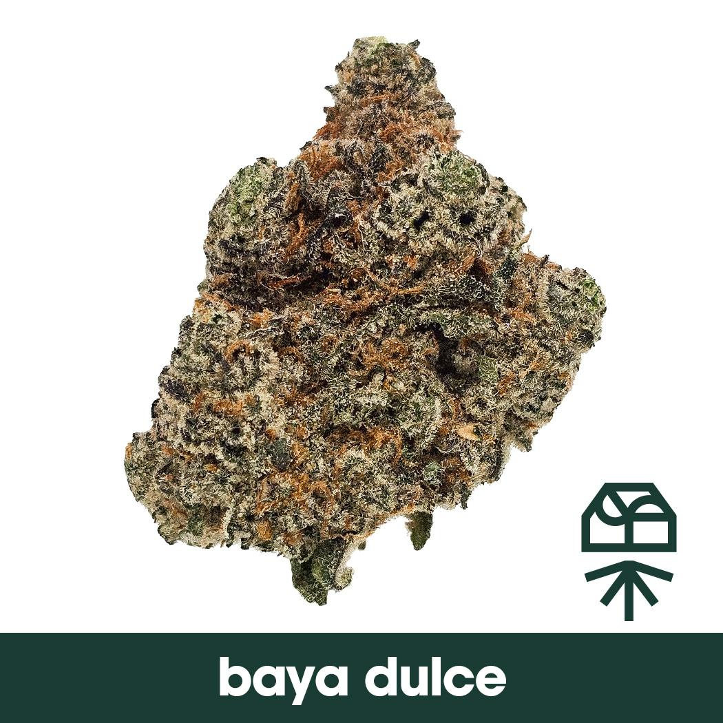 Grassroots - Baya Dulce Whole Flower - 1