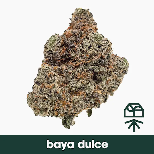 Grassroots - Baya Dulce Whole Flower - 1
