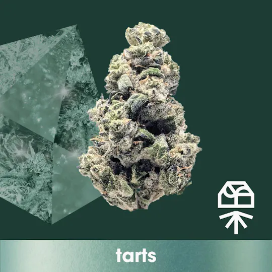 Grassroots - Tarts Diamond Infused Flower - 1