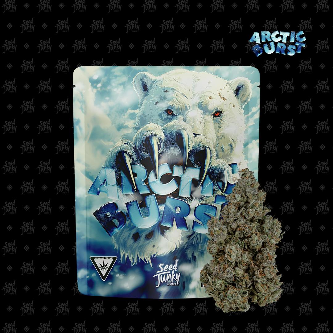 Seed Junky - Seed Junky | Arctic Burst | Big Buds | 3.5g - 1
