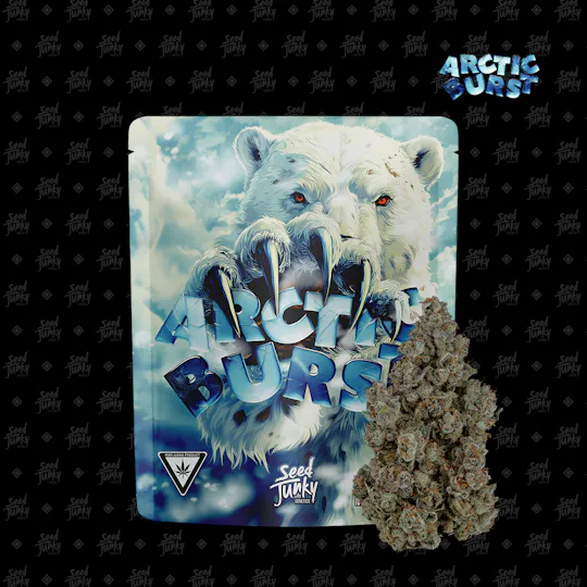 Seed Junky - Seed Junky | Arctic Burst | Big Buds | 3.5g - 1