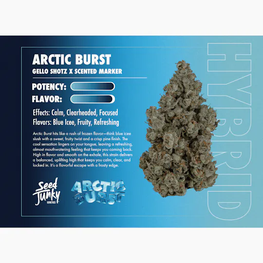 Seed Junky - Arctic Burst | Big Buds | 3.5g - 1