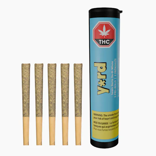Yard - Lawn Darts Do-si Mints Pre-Rolls | 5 × 0.5g - 1
