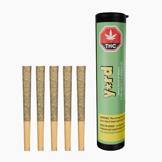 Yard - Lawn Darts K-Mints Pre-Rolls | 5 × 0.5g - 1
