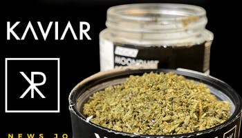 Kaviar - Kaviar | Platinum Chem | Infused Ground | 1g - 1