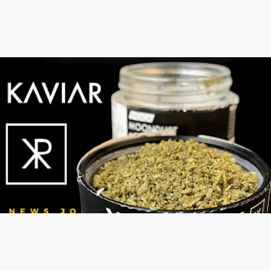 Kaviar - Kaviar | Platinum Chem | Infused Ground | 1g - 1