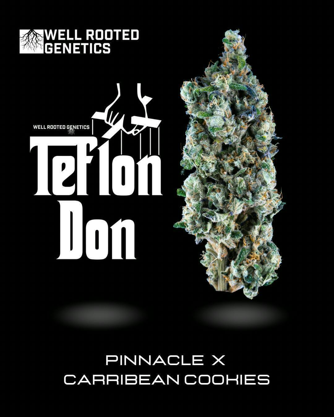 Well Rooted Genetics - Well Rooted Genetics | Teflon Don | Big Buds | 3.5g - 1