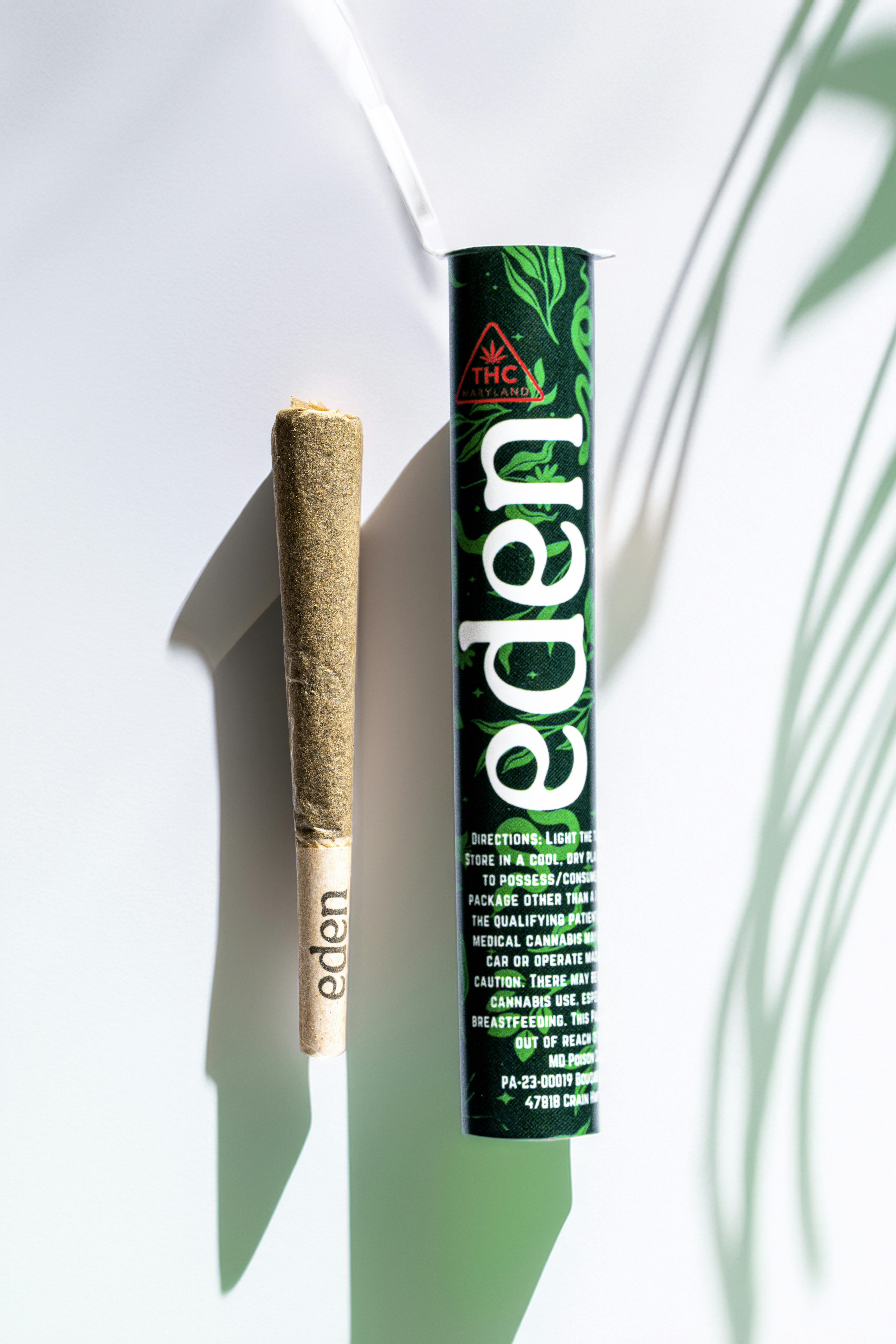 Eden Solventless - Eden | Apple Runtz | Infused Joint | 1g - 1