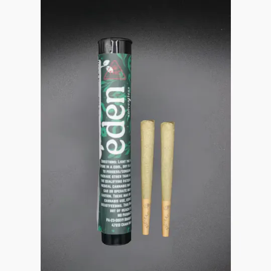 Eden Solventless - Eden | Goo Berry Tree | Infused Joint | 1g - 1