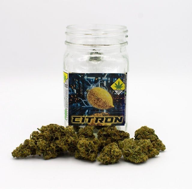 Phat Panda - Phat Panda | Citron | Big Buds | 7g - 1