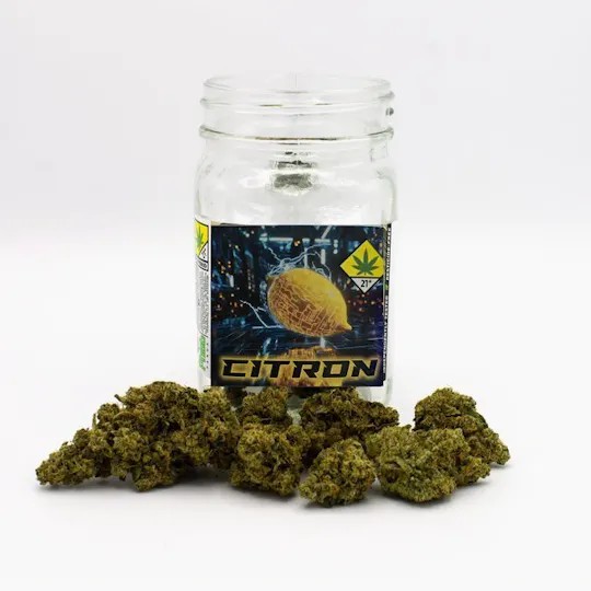 Phat Panda - Phat Panda | Citron | Big Buds | 7g - 1