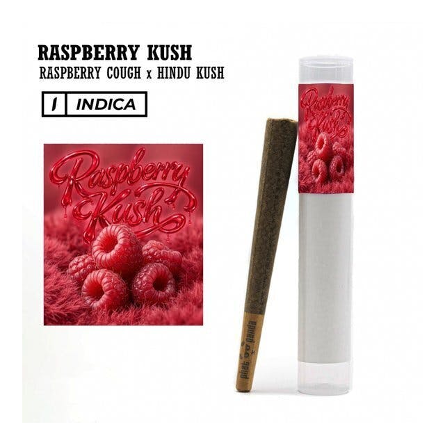 Phat Panda - Phat Panda | Raspberry Kush | Joint | 1g - 1