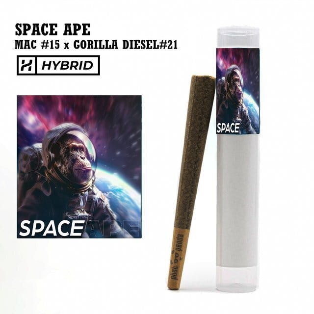 Phat Panda - Phat Panda | Space Ape | Joint | 1g - 1