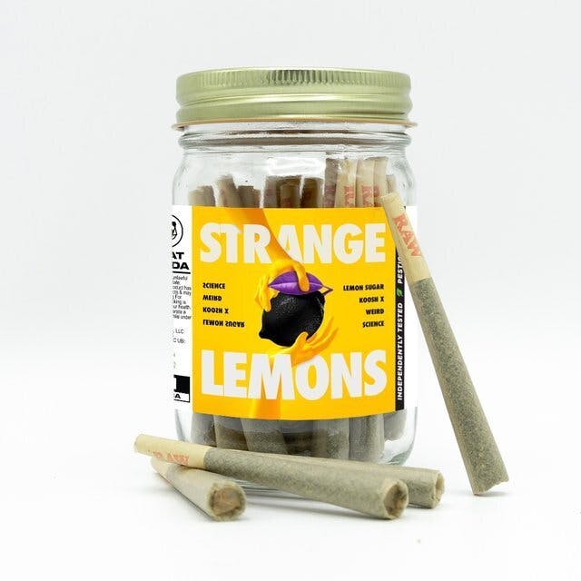 Phat Panda - Phat Panda | Strange Lemons | Joints | 1g each | 28pk - 1