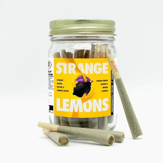 Phat Panda - Phat Panda | Strange Lemons | Joints | 1g each | 28pk - 1
