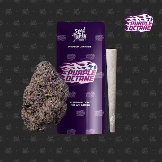 Seed Junky - Seed Junky | Purple Octane | Joint | 1g - 1