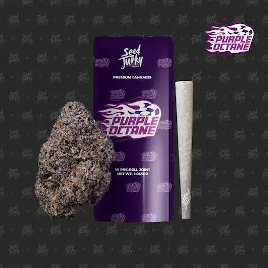 Seed Junky - Purple Octane | Joint | 1g - 1