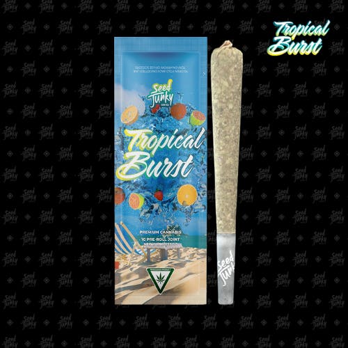 Seed Junky - Seed Junky | Tropical Burst | Joint | 1g - 1