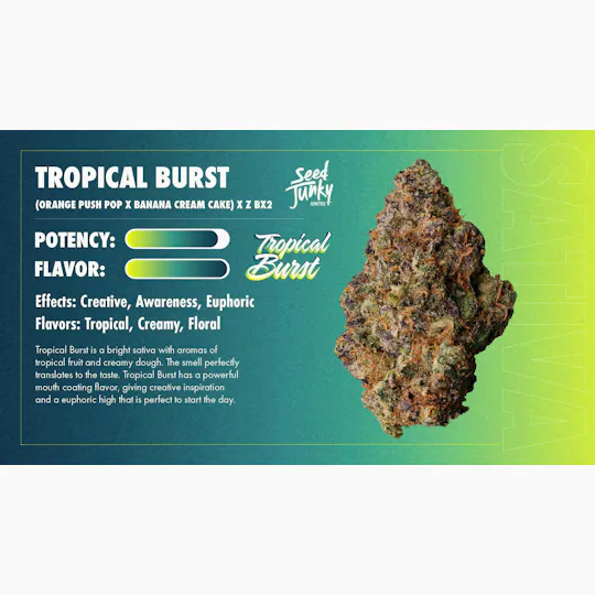 Seed Junky - Tropical Burst | Joint | 1g - 1
