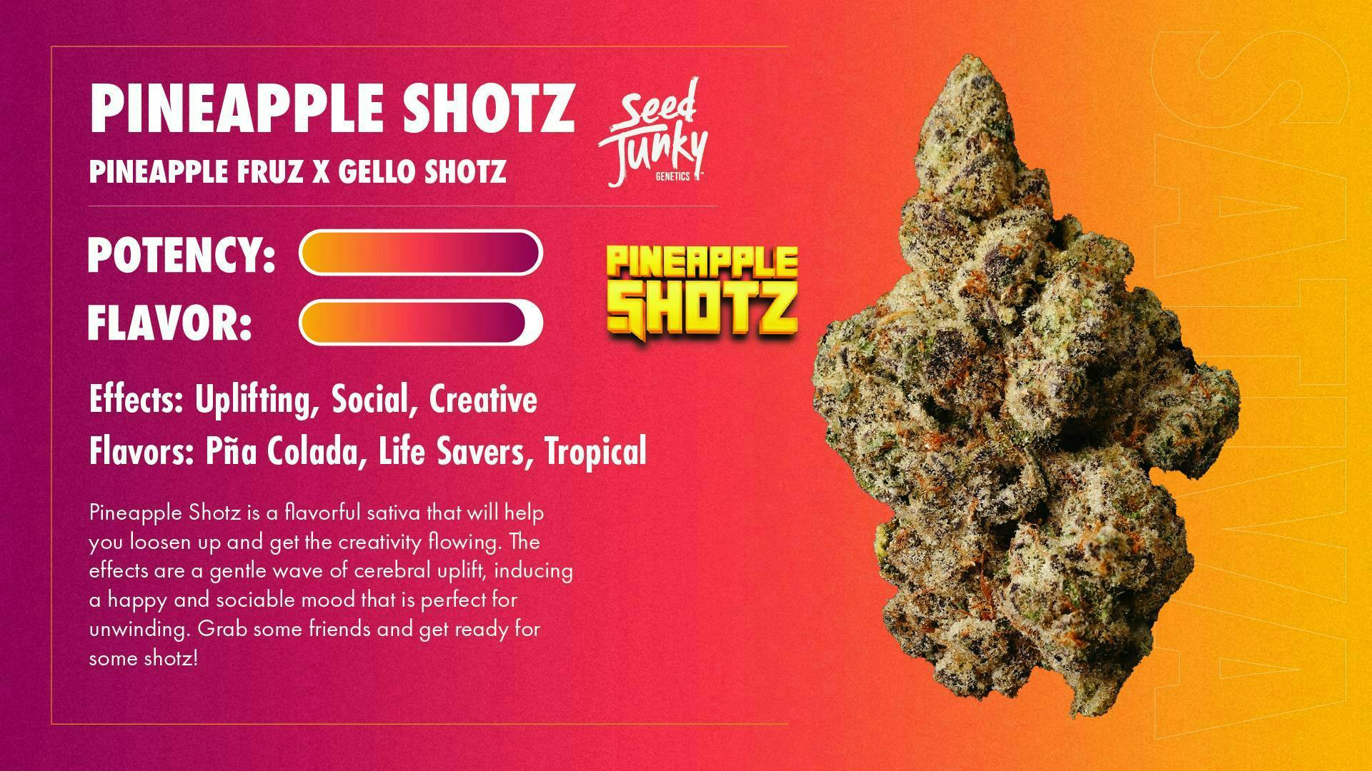 Seed Junky - Pineapple Shotz | Joint | 1g - 1