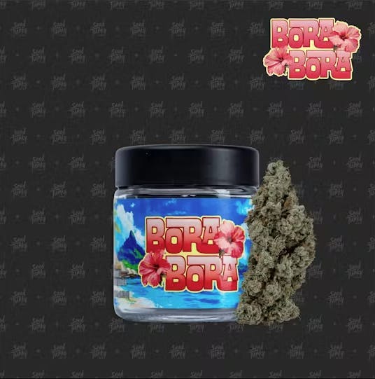 Seed Junky - Seed Junky | Bora Bora | Big Buds | 3.5g - 1