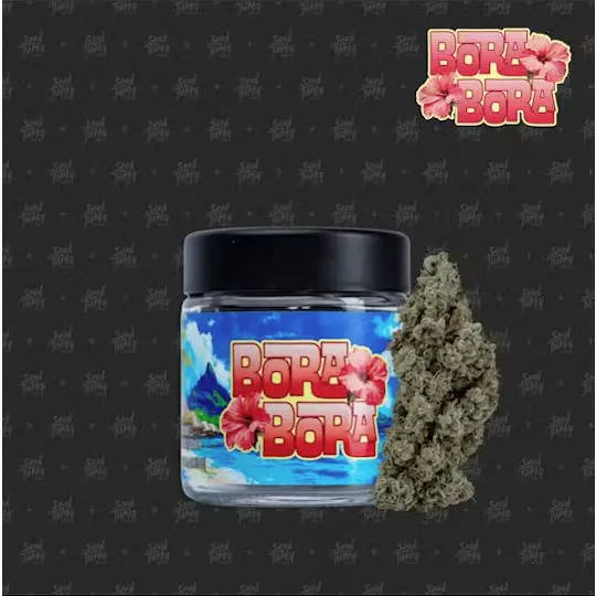 Seed Junky - Seed Junky | Bora Bora | Big Buds | 3.5g - 1