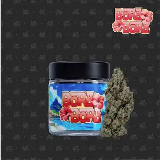 Seed Junky - Bora Bora | Big Buds | 3.5g - 1