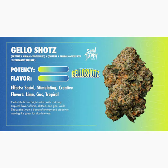 Seed Junky - Gello Shotz | Big Buds | 3.5g - 1