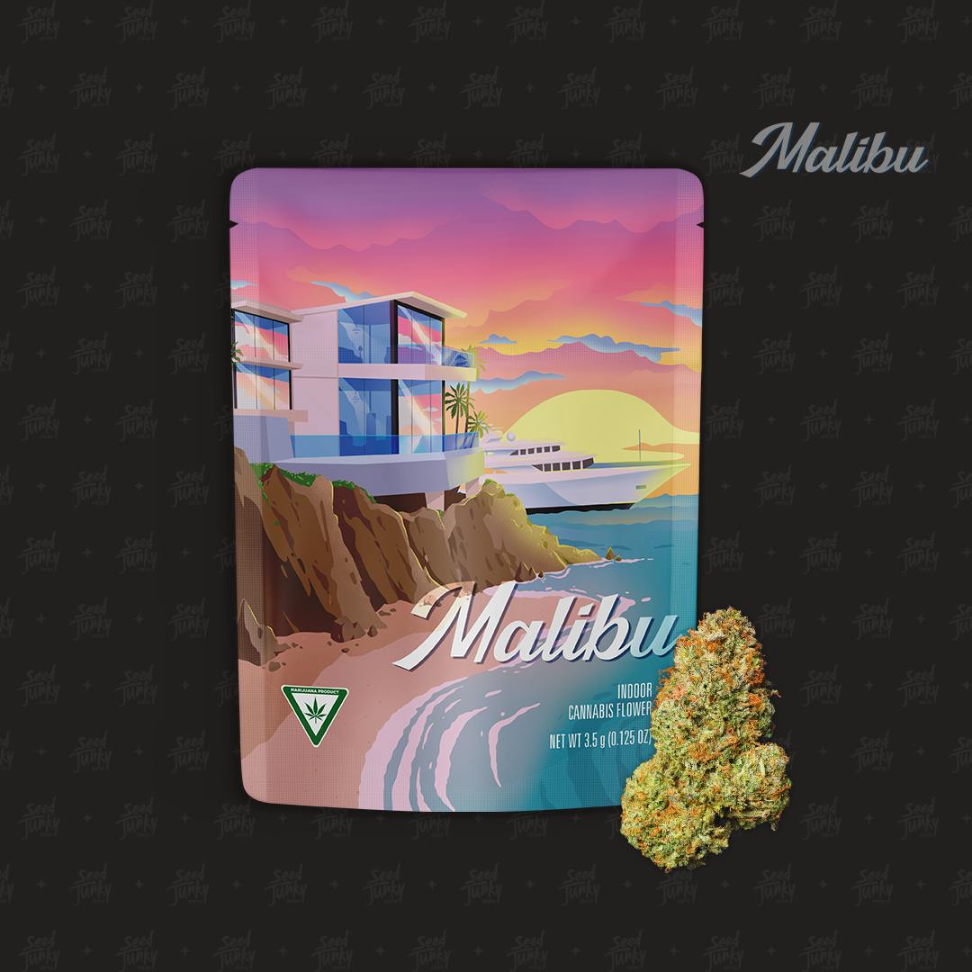 Seed Junky - Seed Junky | Malibu | Big Buds | 3.5g - 1