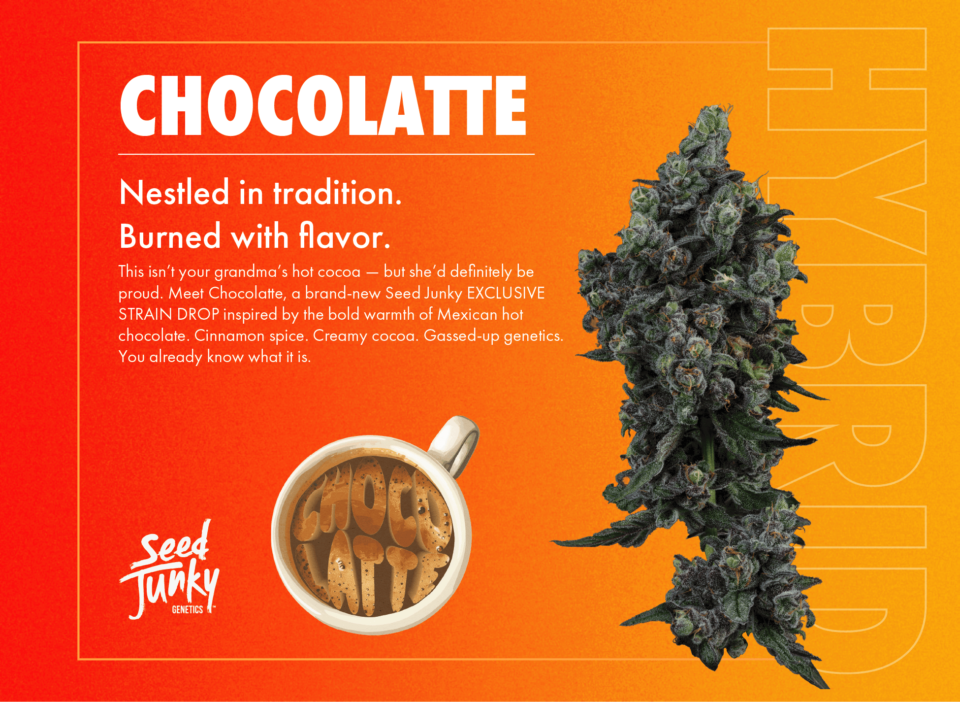 Seed Junky - Choco Latté | Joint | 1g - 1