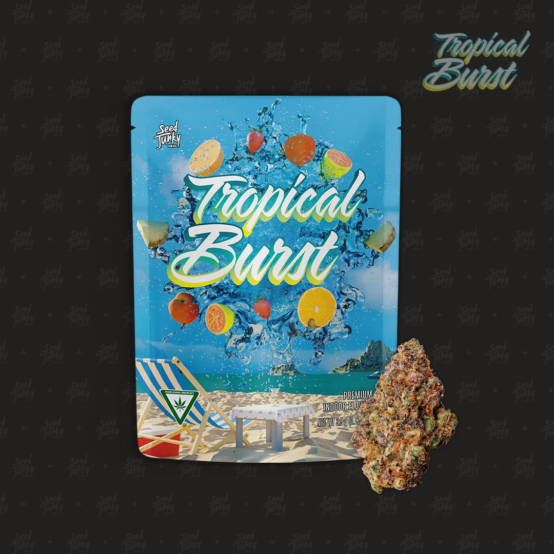Seed Junky - Seed Junky | Tropical Burst | Big Buds | 3.5g - 1