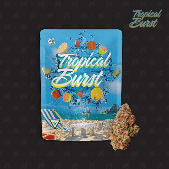 Seed Junky - Seed Junky | Tropical Burst | Big Buds | 3.5g - 1