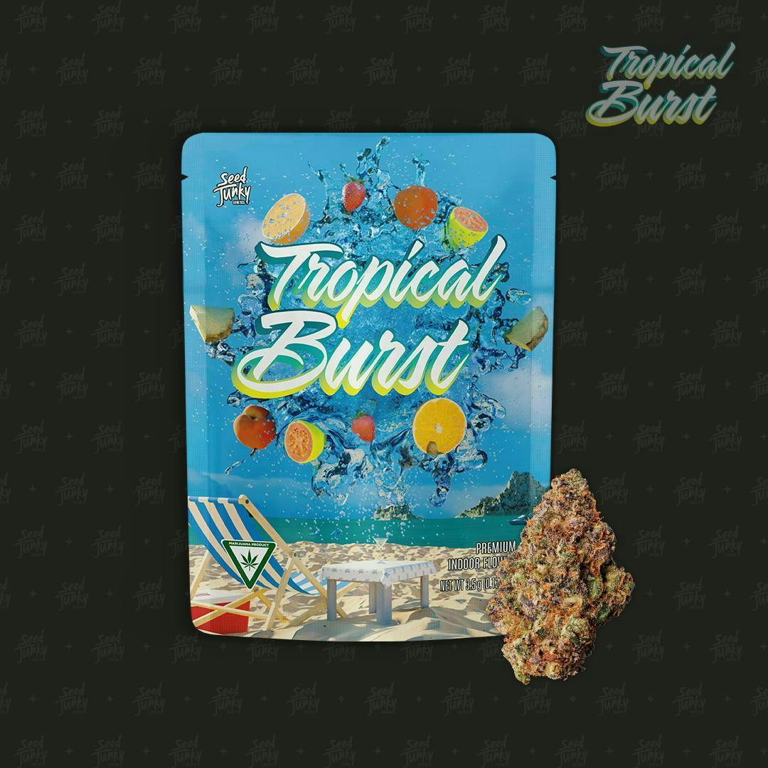 Seed Junky - Tropical Burst | Big Buds | 3.5g - 1