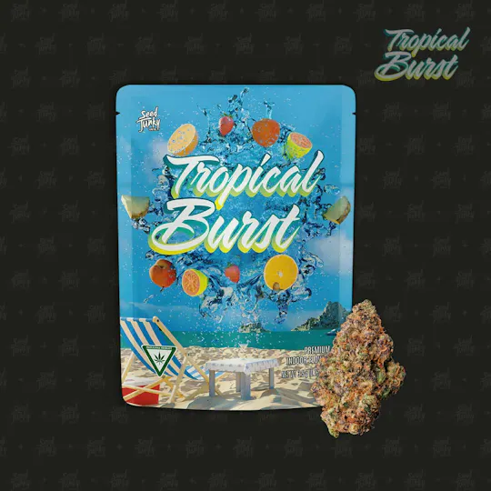 Seed Junky - Tropical Burst | Big Buds | 3.5g - 1
