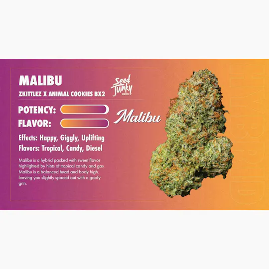 Seed Junky - Malibu | Joint | 1g - 1