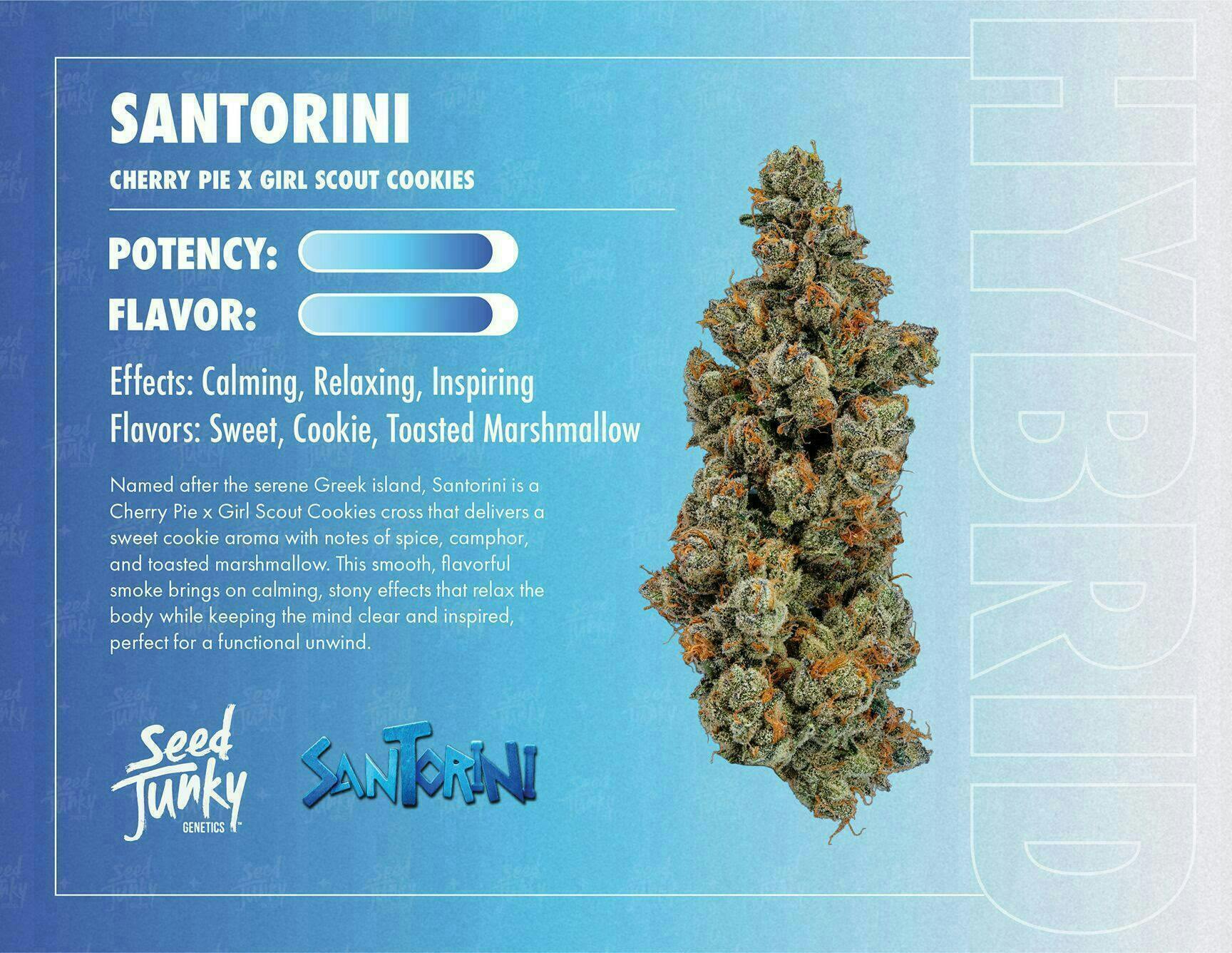 Seed Junky - Santorini | Big Buds | 3.5g - 1