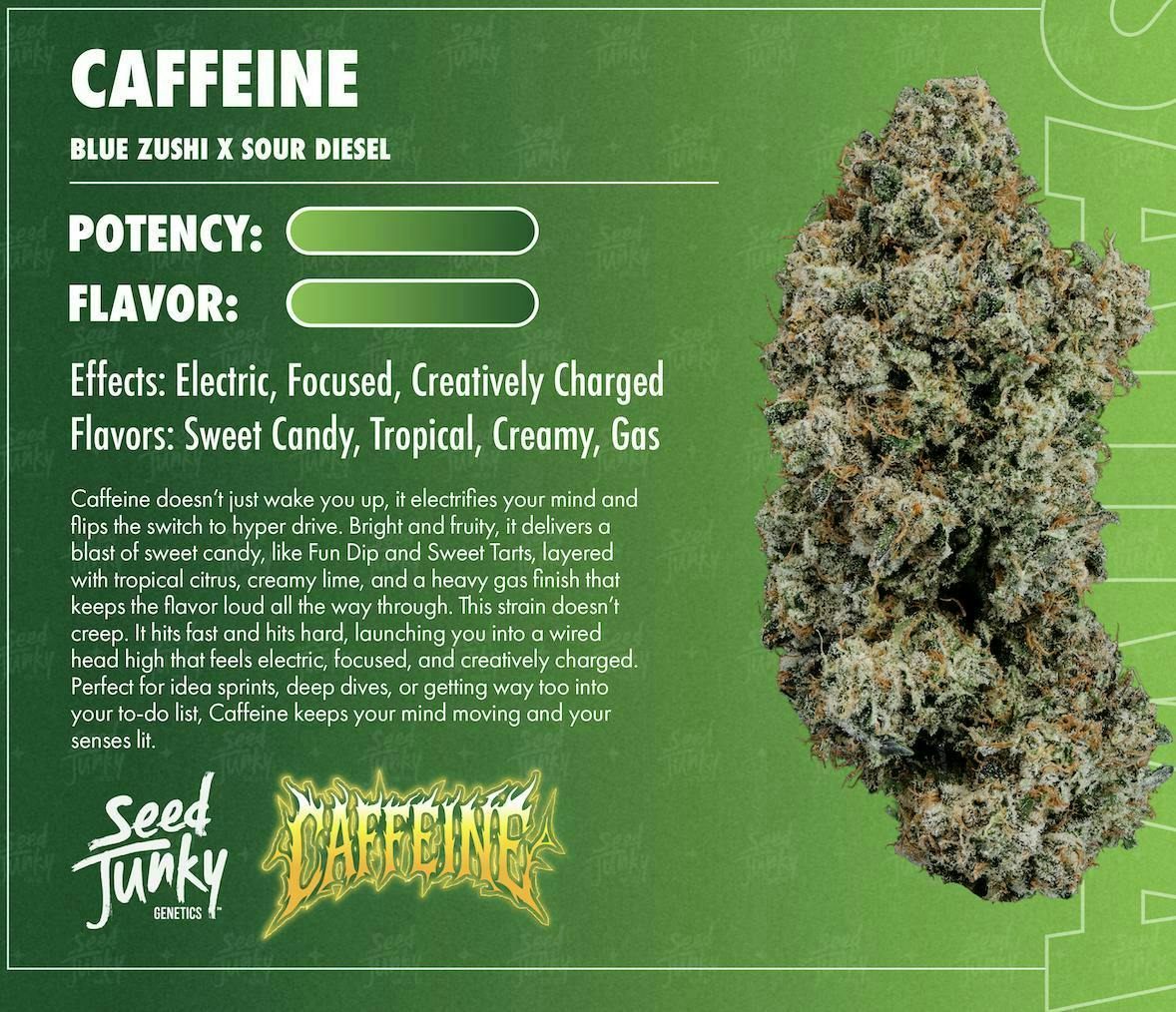 Seed Junky - Caffeine | Big Buds | 3.5g - 1