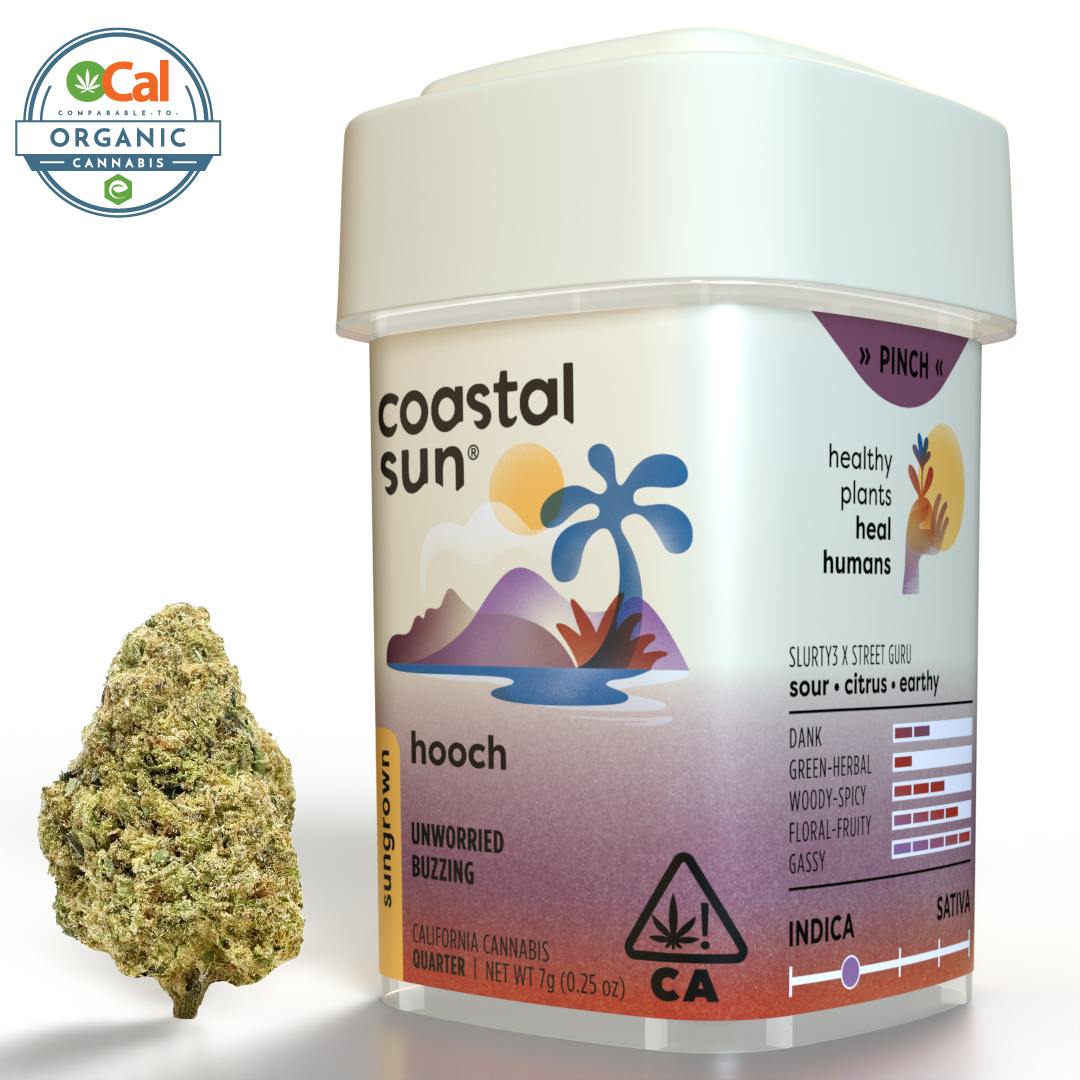 Coastal Sun - Hooch Sungrown Flower 7g - 1