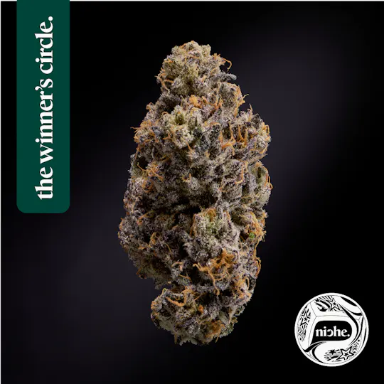Niche - Pink Ink | 1g - 1